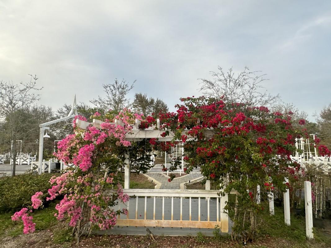 4680 SW 148th Ave