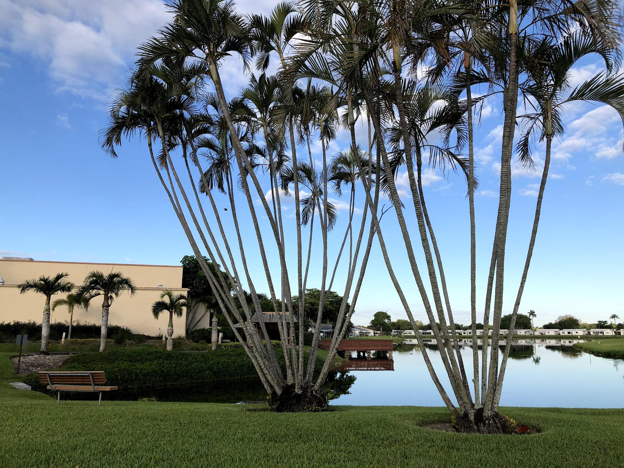 LAUDERDALE WEST 2 SEC - Residential