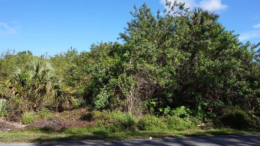 Nice lot in Lakewood Park located a couple blocks from local shopping and restaurants. Duplex area. Adjacent lot on 5014 Deleon Ave also available for sale. Buy and build or hold for investment.
