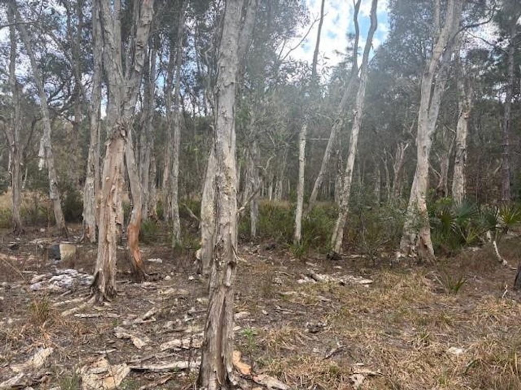 Photo of 0 Turnpike Feeder Road, Fort Pierce, FL 34945 (MLS # F10555215)