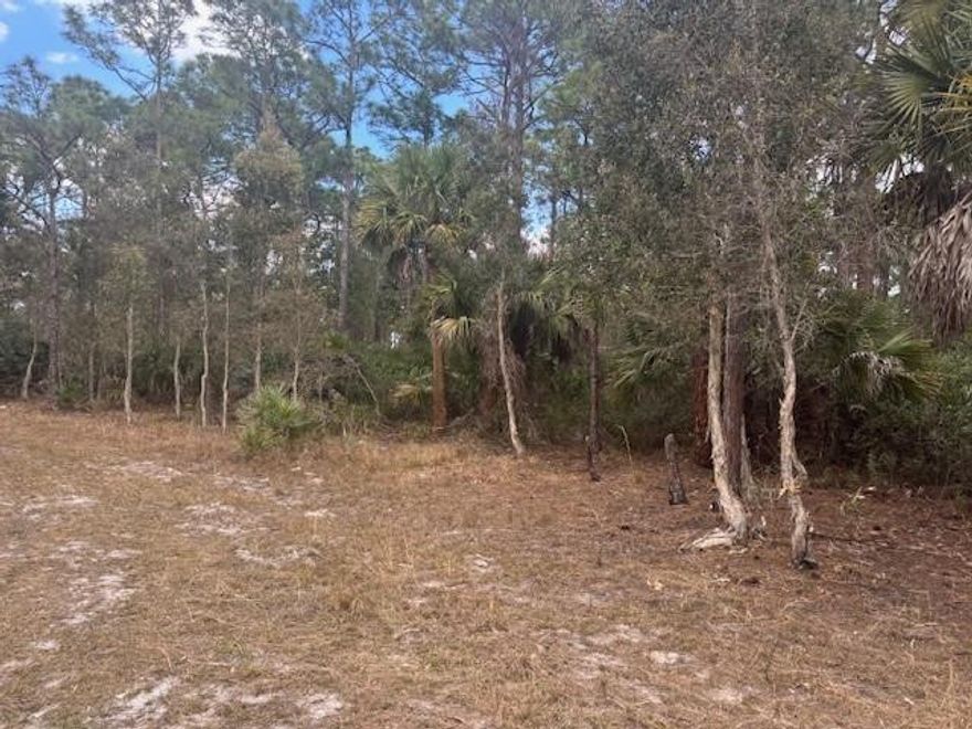 1/2 acre lot in the path of development. Use today for recreational & agricultural use (shooting range, fruit trees, 4-wheeling on surrounding trails, etc....Owner financing available with only $3k down