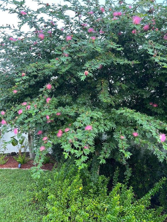 PORT ST LUCIE SECTION 12 - Residential