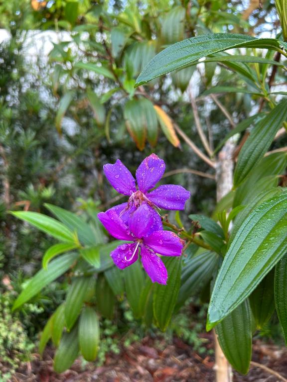 PORT ST LUCIE SECTION 12 - Residential