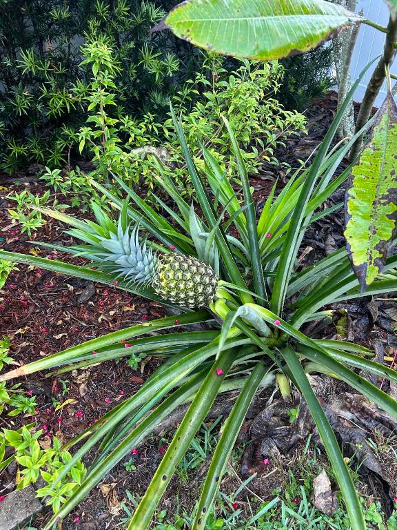 PORT ST LUCIE SECTION 12 - Residential