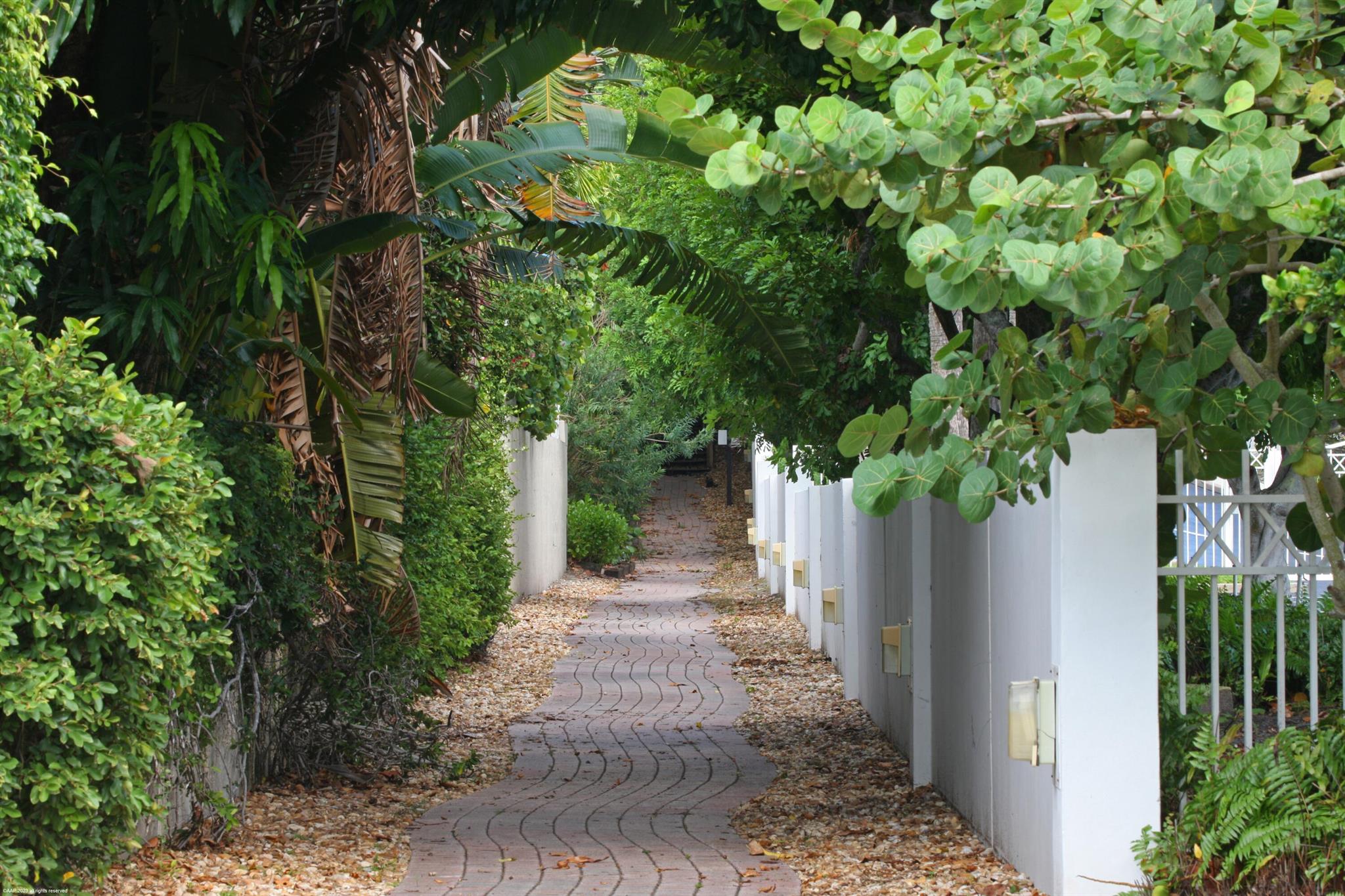 OLYMPUS - Residential