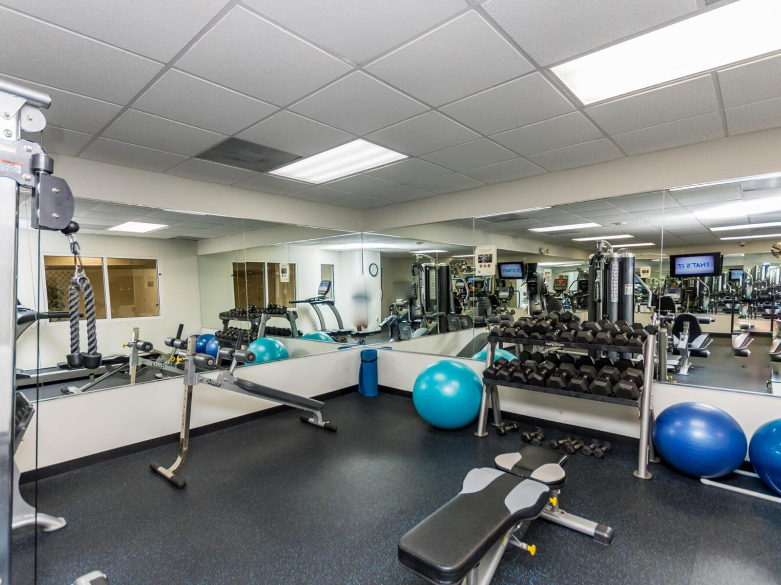 THE COMMODORE - Residential