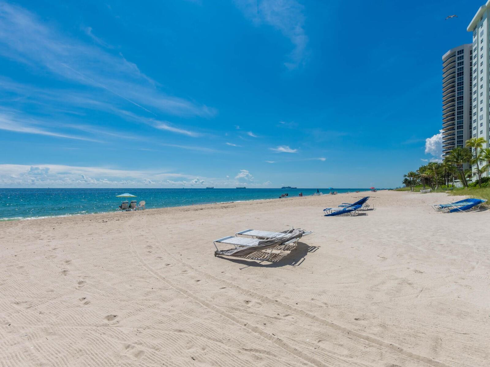 THE COMMODORE - Residential