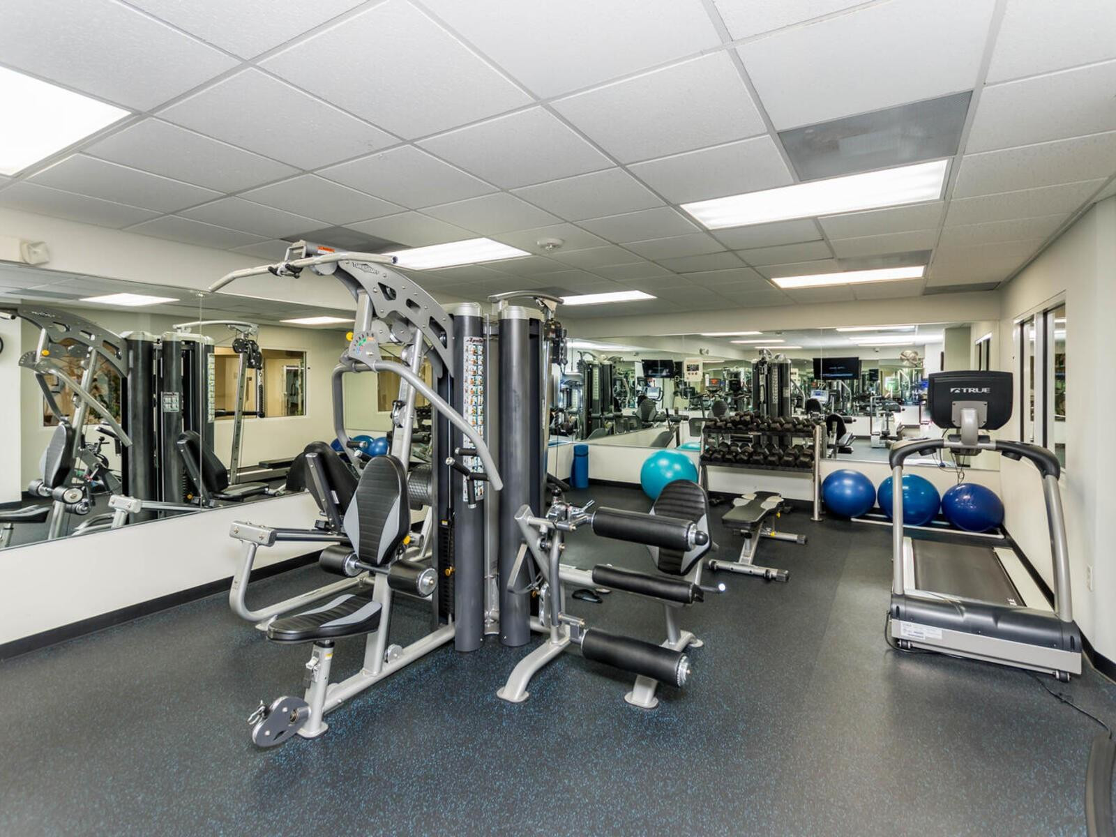 THE COMMODORE - Residential