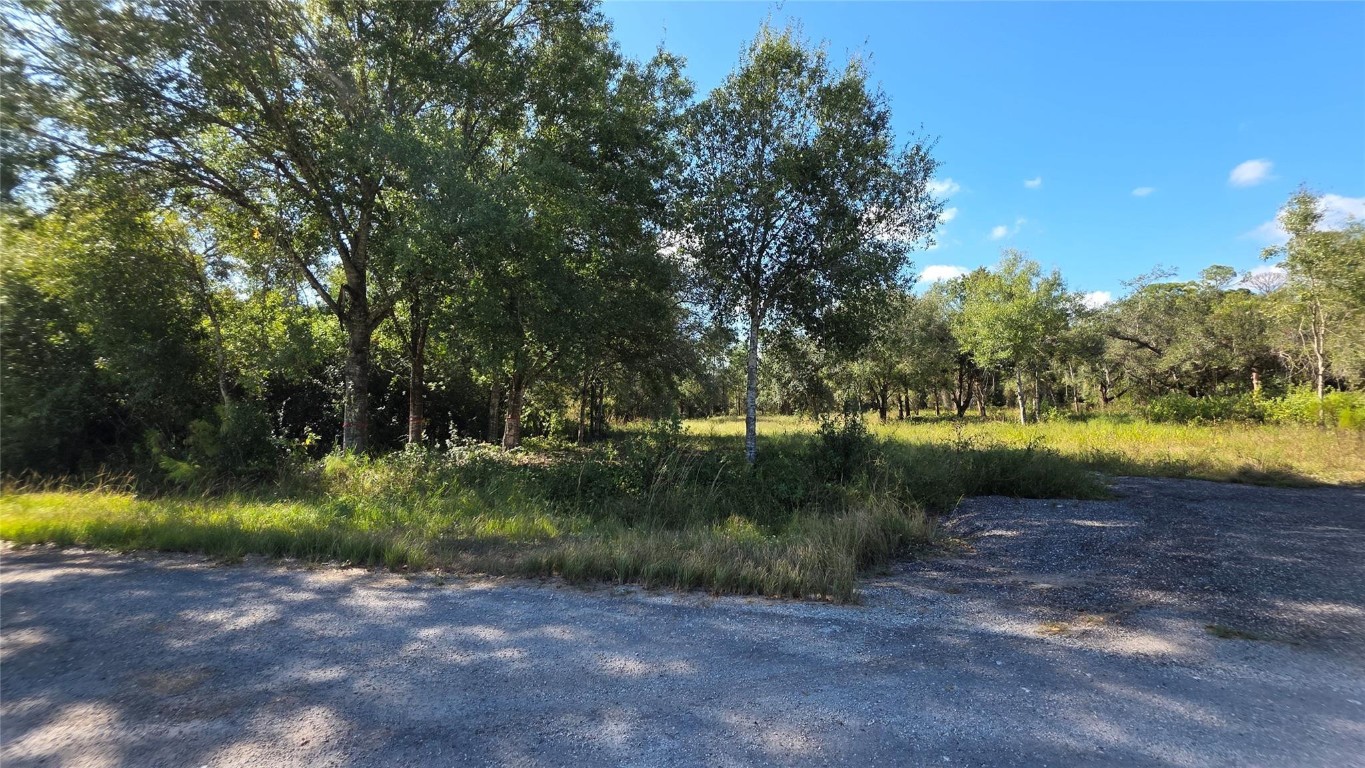 Montura Ranch - Land