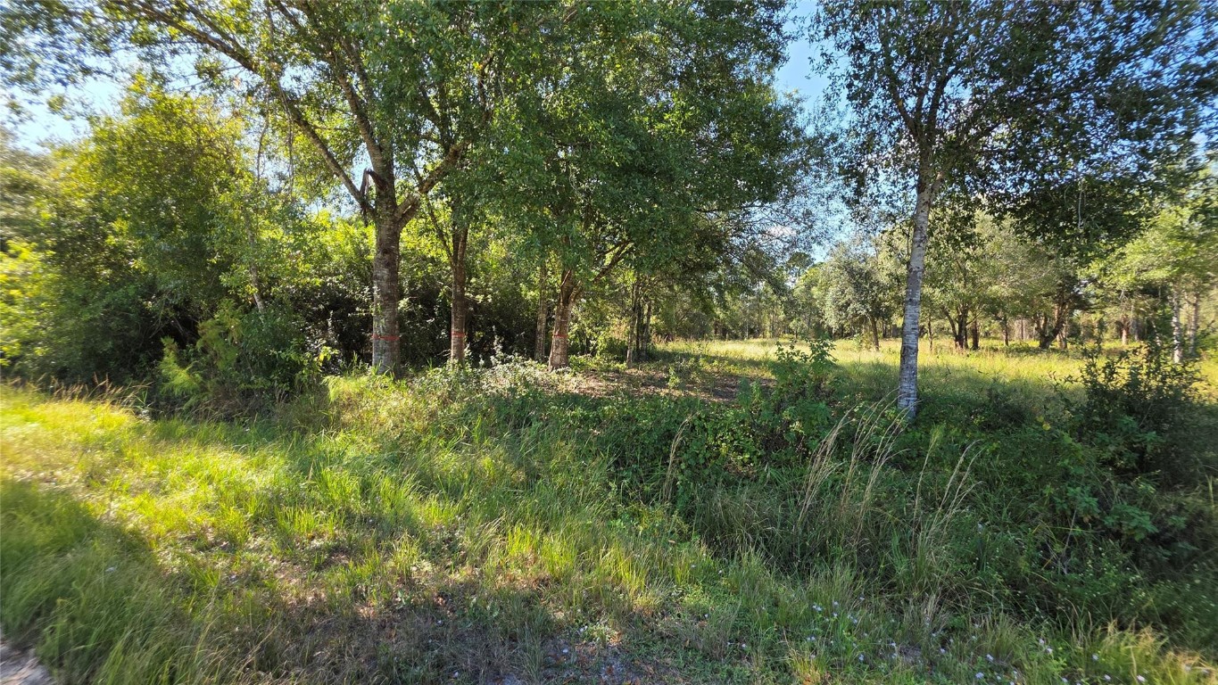 Montura Ranch - Land