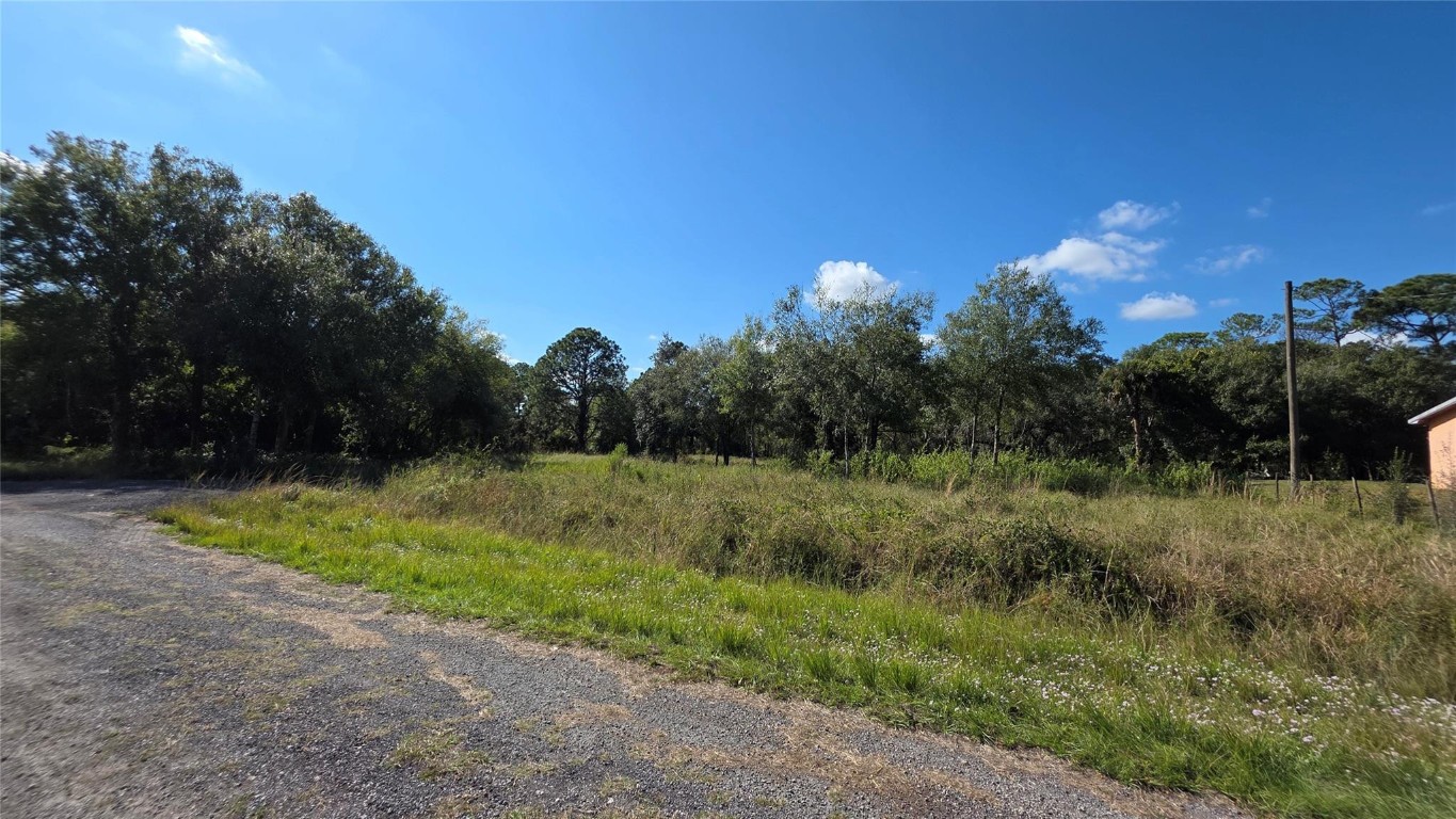 Montura Ranch - Land