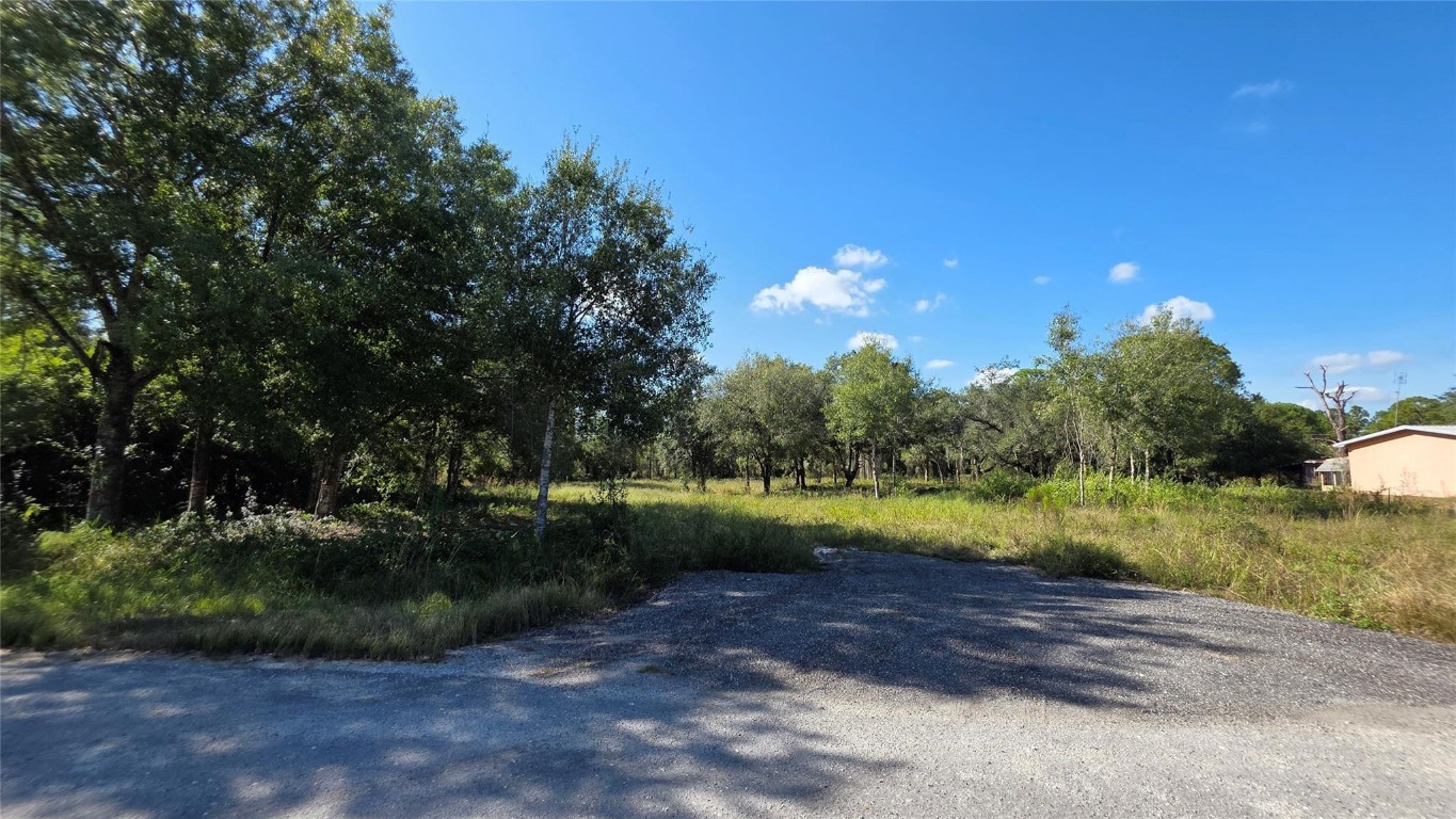 Montura Ranch - Land