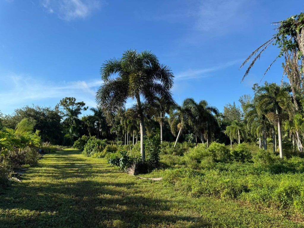Loxahatchee Groves - Residential