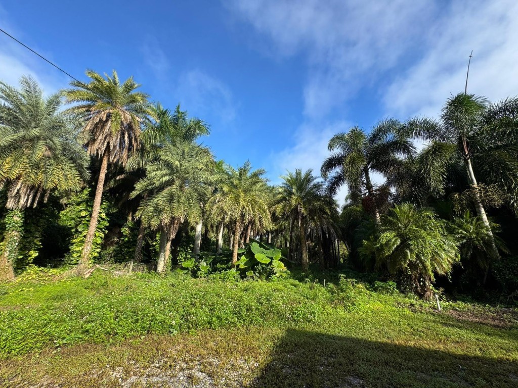 Loxahatchee Groves - Residential
