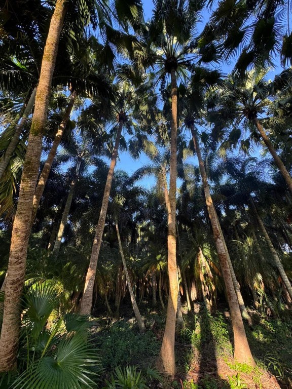 Loxahatchee Groves - Residential