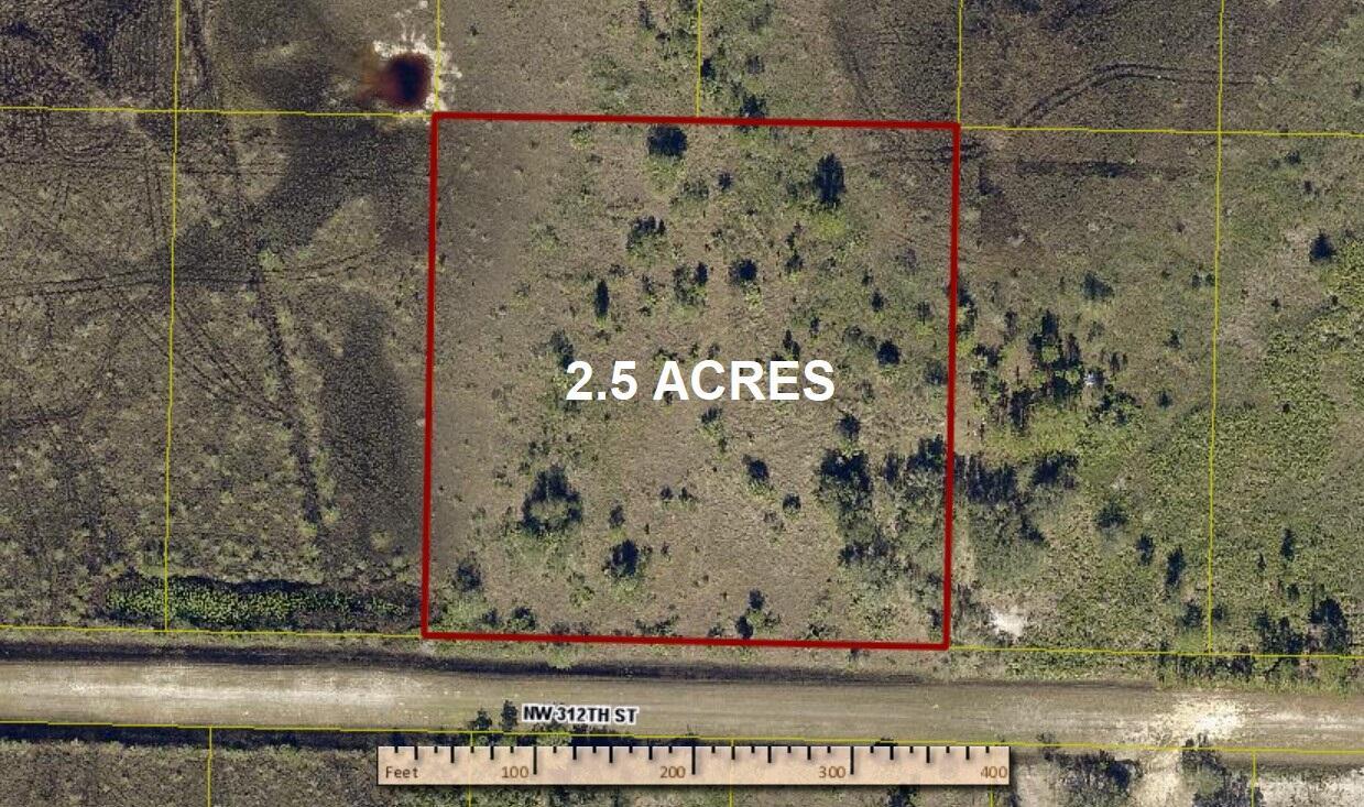 Viking NW County 2.5 acres of rural property, pristine Florida, wildlife, oak trees, palms, and awesome sunsets await you. No HOA, no other homes are in view of from this parcel. Bring your animals and livestock! Camp, hunt, fish, ride or grow a huge garden and relax on your DOUBLE LOT. Annual taxes are only $585 per year.