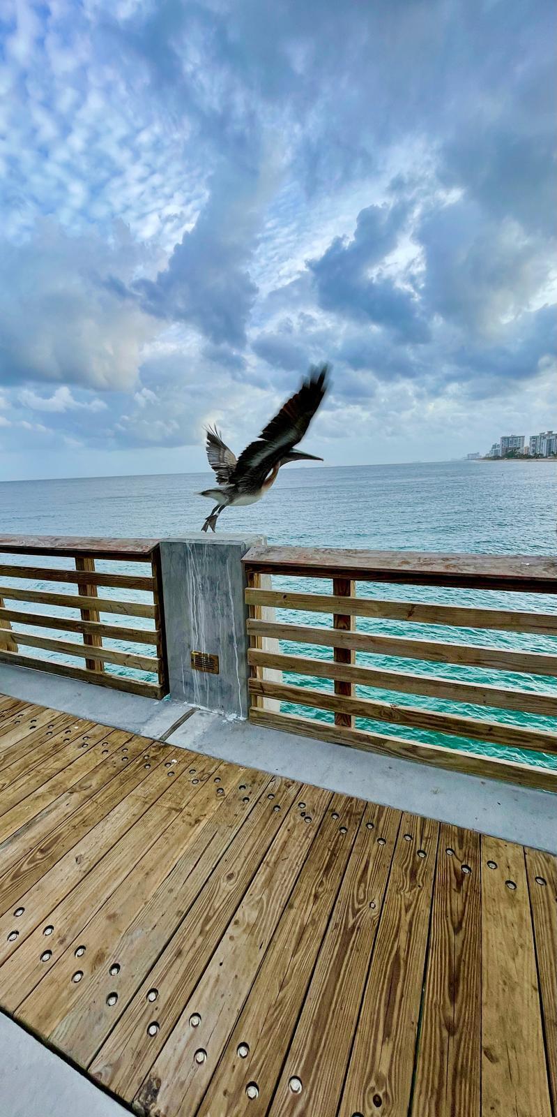 POMPANO BY THE SEA CONDO - Residential