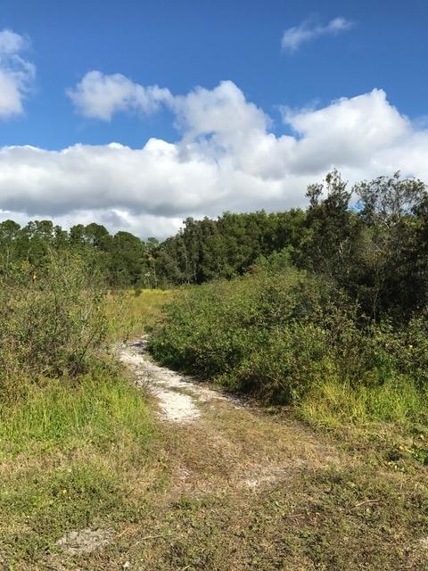 This lot is waiting for YOU! Seller is ready. One lot from paved road with great neighboring homes. Location is easy to get to. One of the Lowest priced lots in Jupiter Farms!!