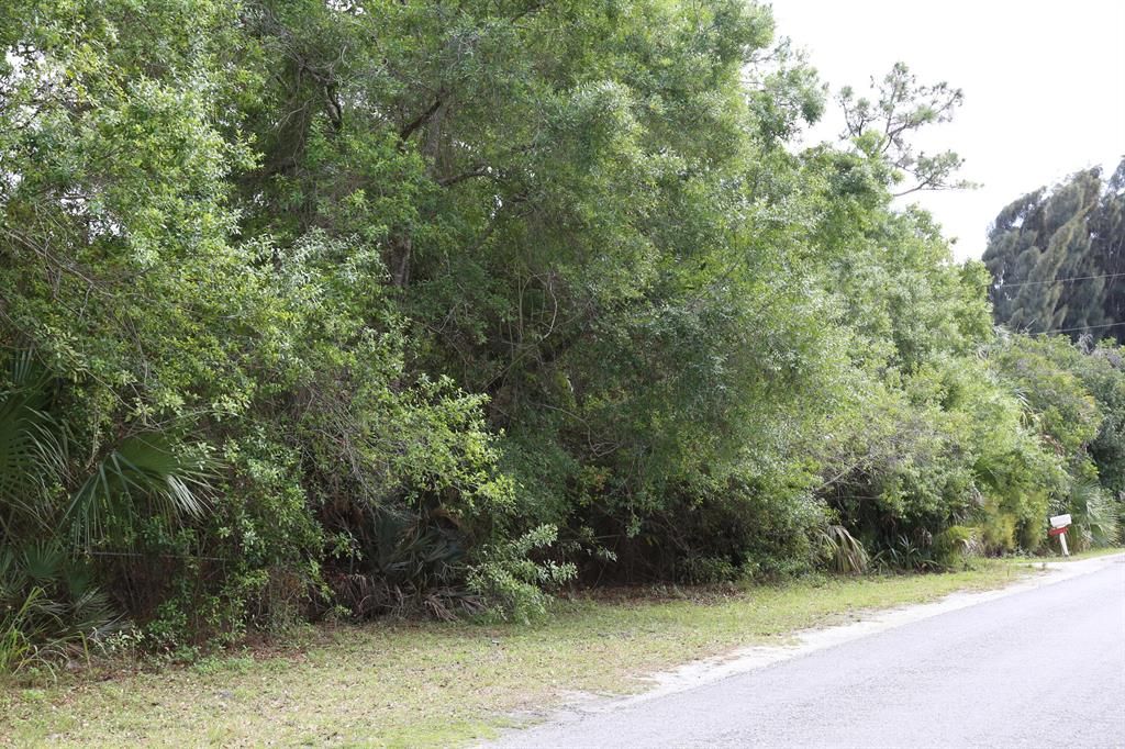 Photo of Tbd Traub Avenue, Fort Pierce, FL 34982 (MLS # R10778270)