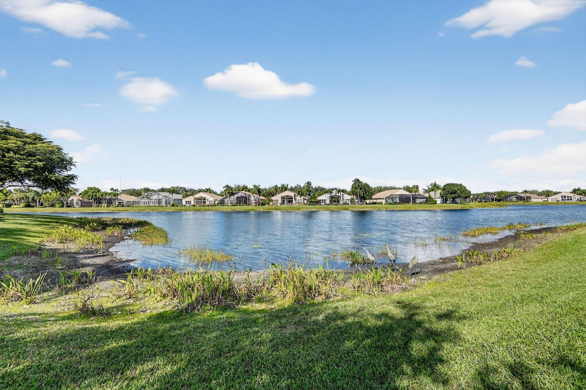 Valencia Shores 02 - Residential