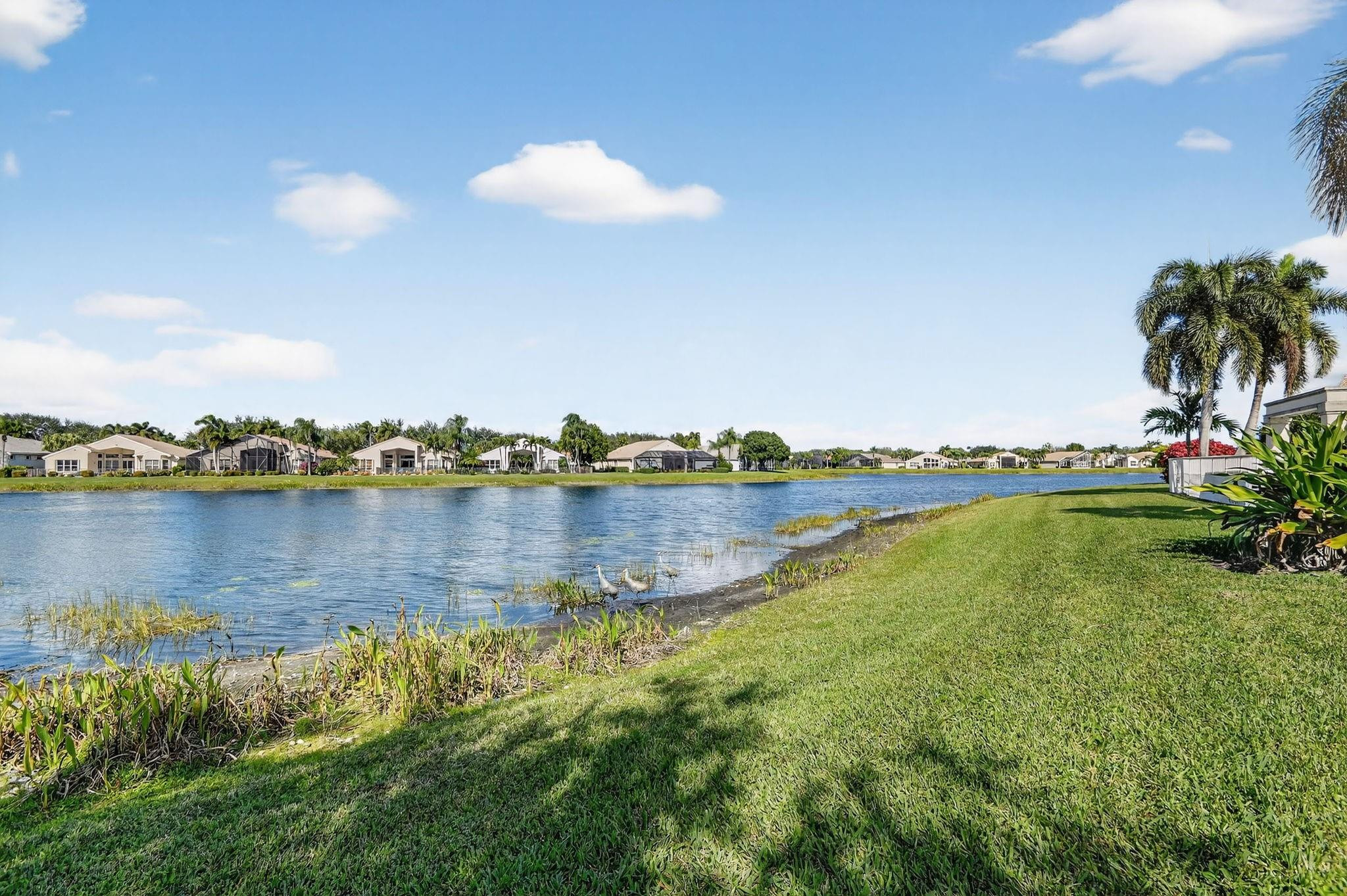 Valencia Shores 02 - Residential