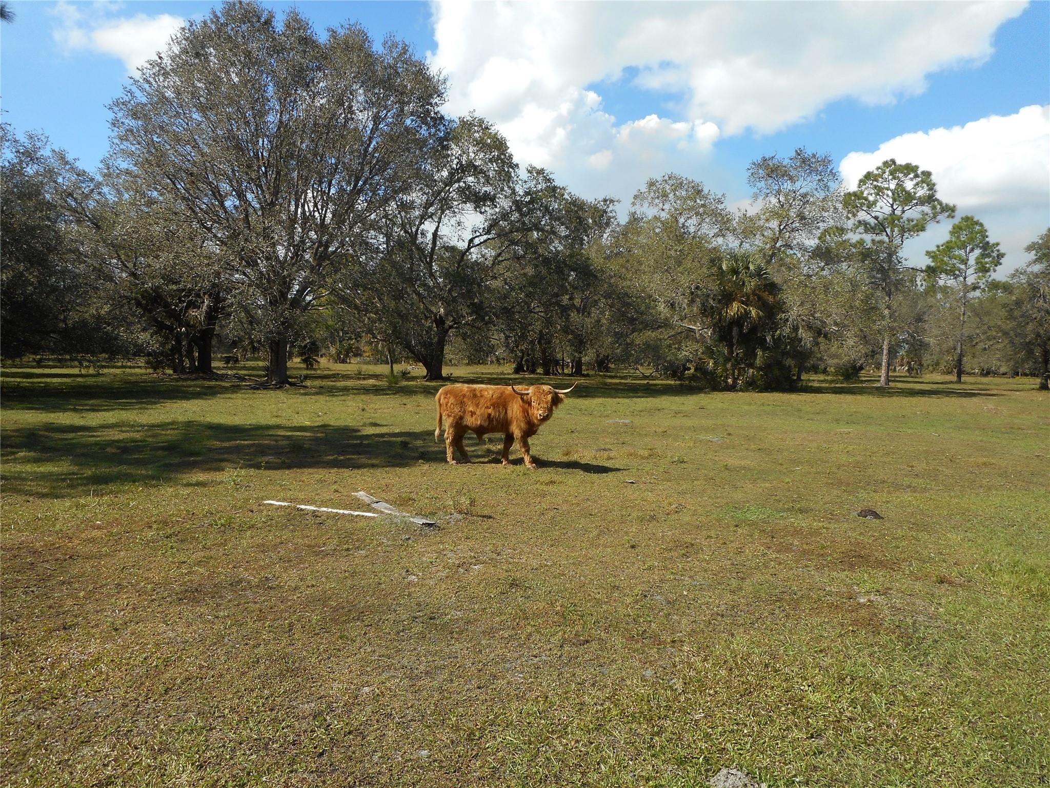 Yellow Gate Estates - Residential