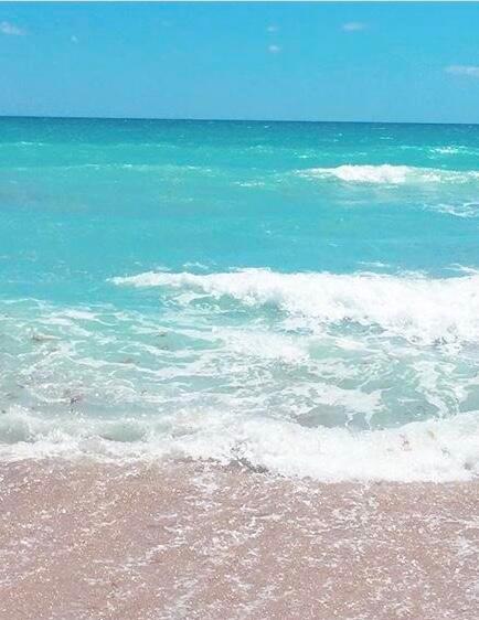 COMMODORE CONDOMINIUM - Residential Lease