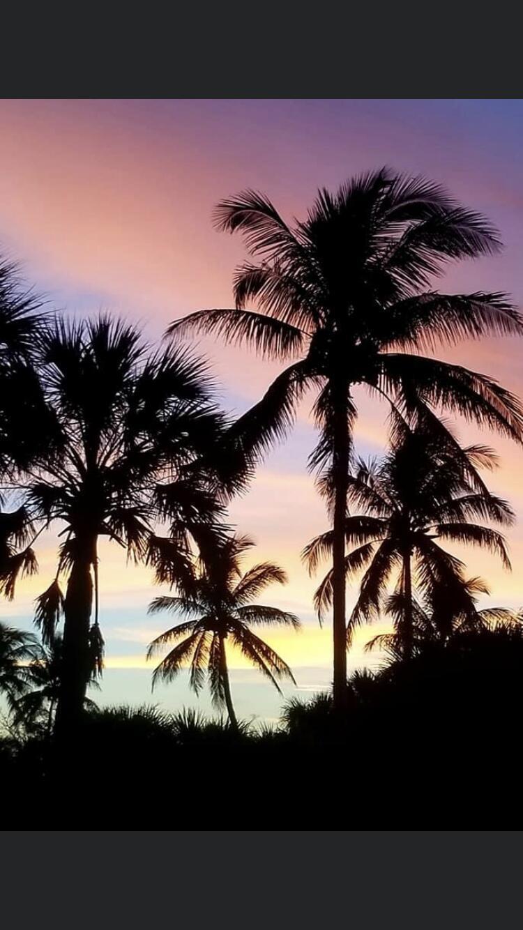 COMMODORE CONDOMINIUM - Residential Lease