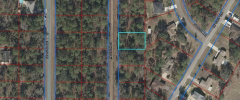 Lot 20 Ne 150th Court Williston FL 32696