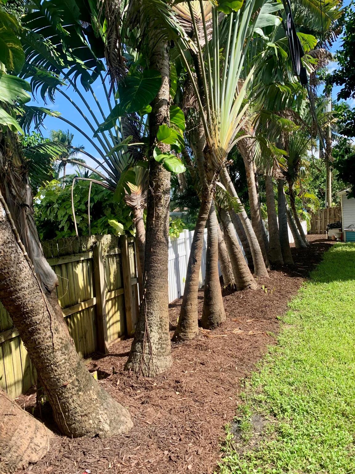 LAKE OSBORNE ESTATES - Residential
