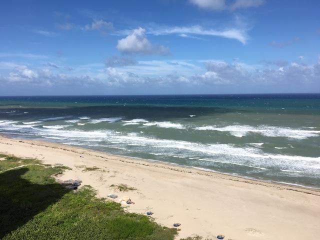 Phoenix Towers - Residential Lease