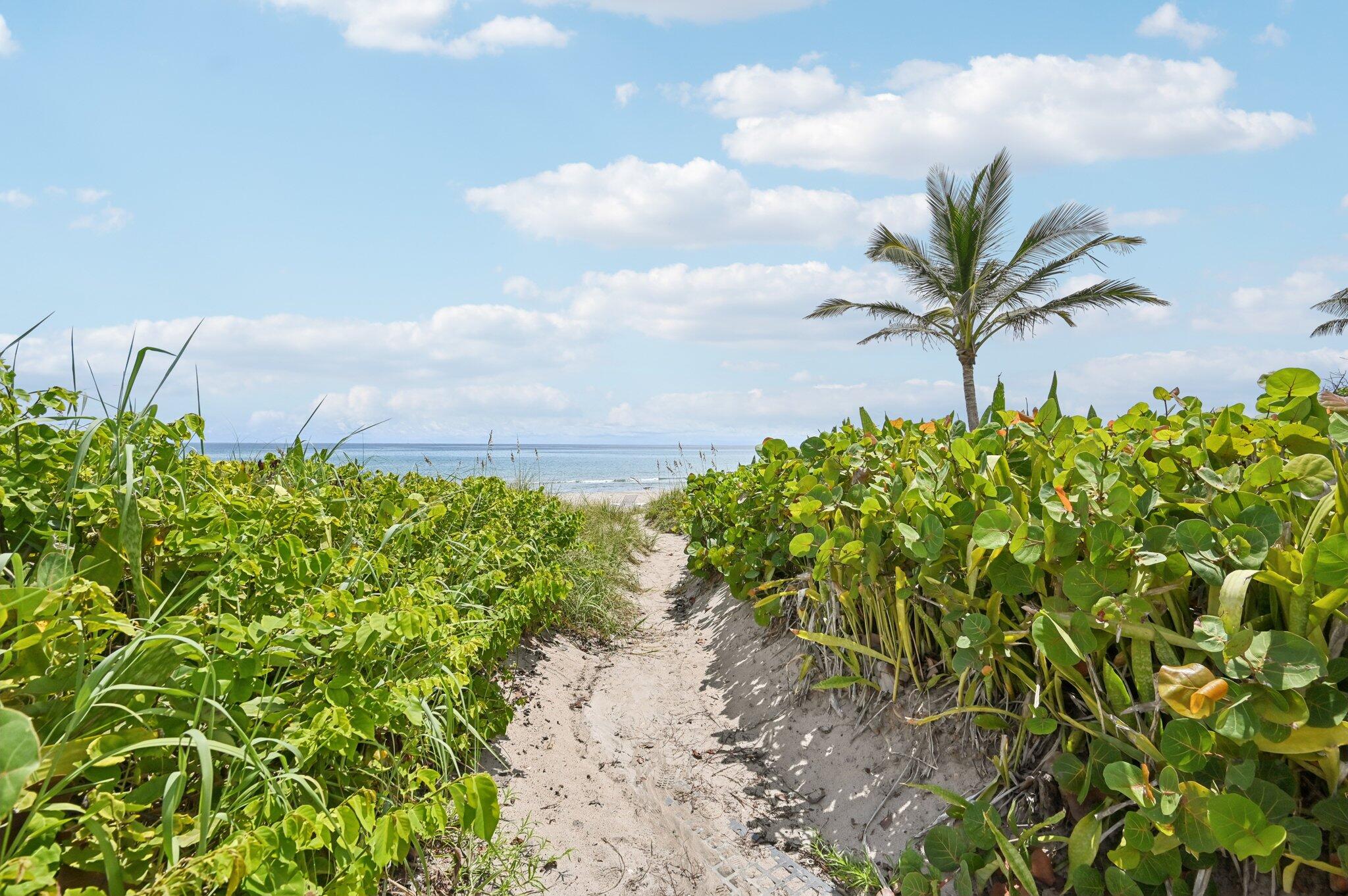 SEAGATE OF HIGHLAND CONDO - Residential