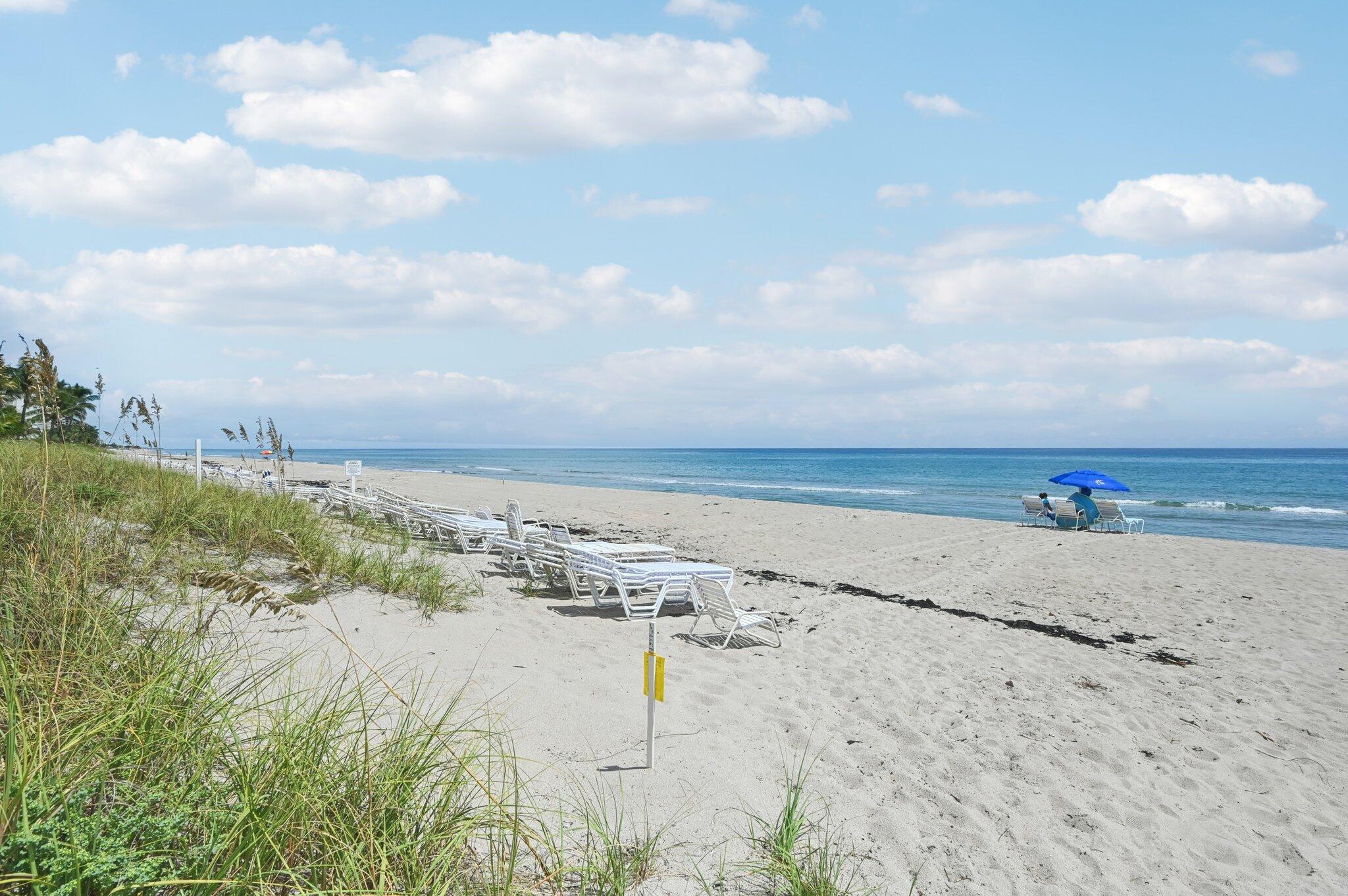 SEAGATE OF HIGHLAND CONDO - Residential