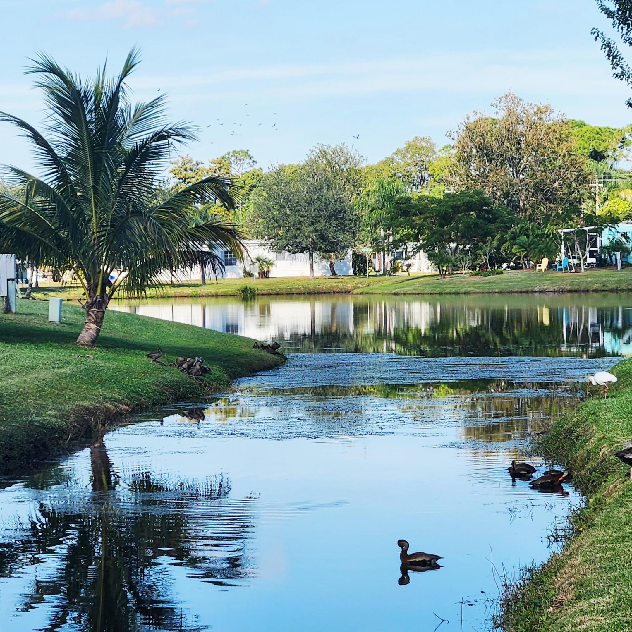 Spanish Lakes Riverfront - Residential