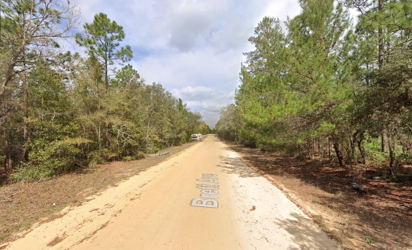 OWNER FINANCING CONSIDERED! Discover your opportunity to own a piece of beautiful Interlachen Lakes Estates! This vacant lot offers the perfect setting for your future home or investment property. Nestled in a quiet, wooded area surrounded by natural Florida beauty, this parcel provides privacy while still being close to local amenities, shopping, and schools. With numerous lakes nearby, outdoor enthusiasts can enjoy boating, fishing, and kayaking just minutes away. Power is available in the area. Whether you're looking to build your dream home, place a mobile/manufactured home, or hold for the future, this affordable property is full of potential. Don't miss your chance to own land in this growing community! FOR DIRECTIONAL PURPOSES USE 410 BRETT AVE