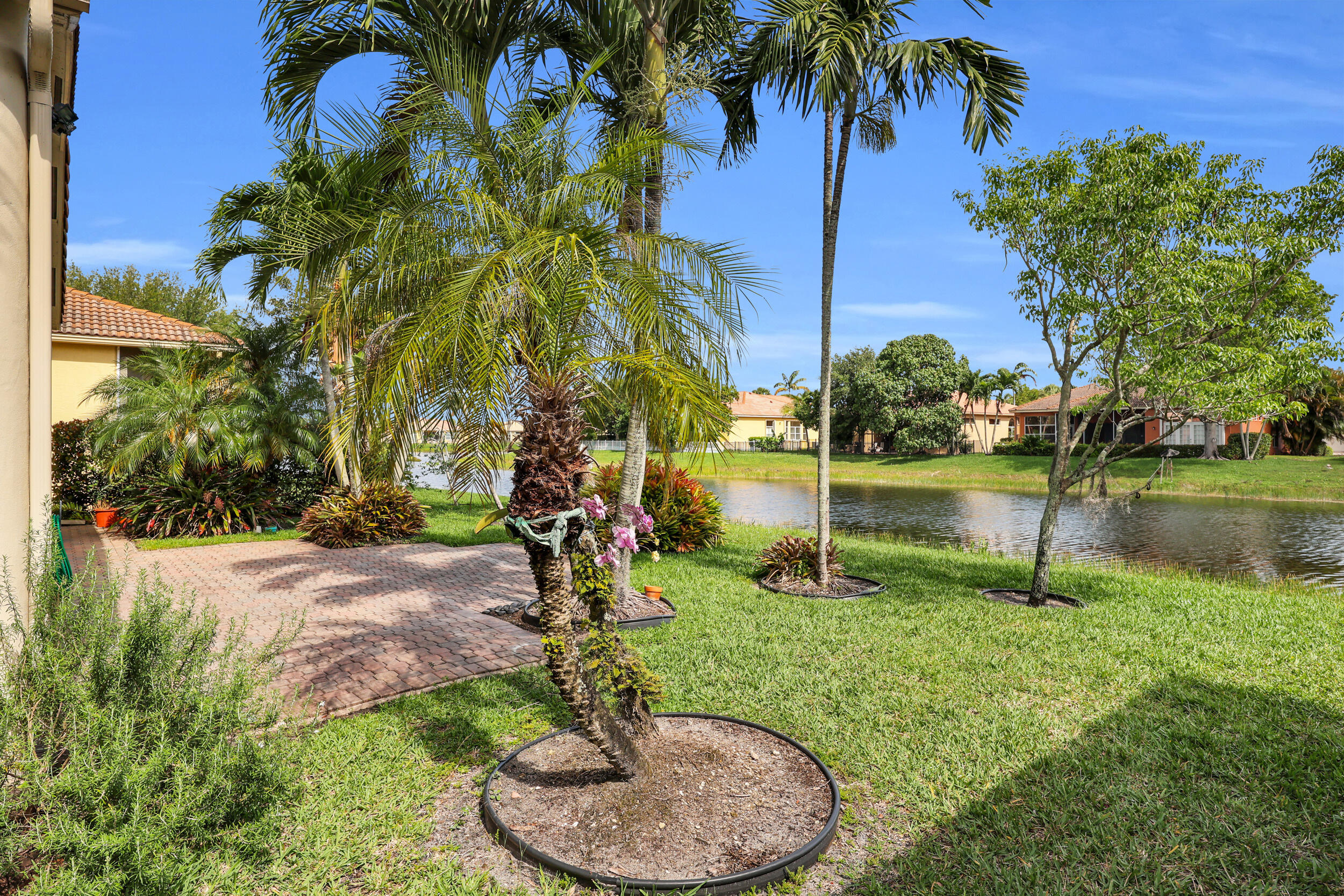 BUENA VIDA - Residential