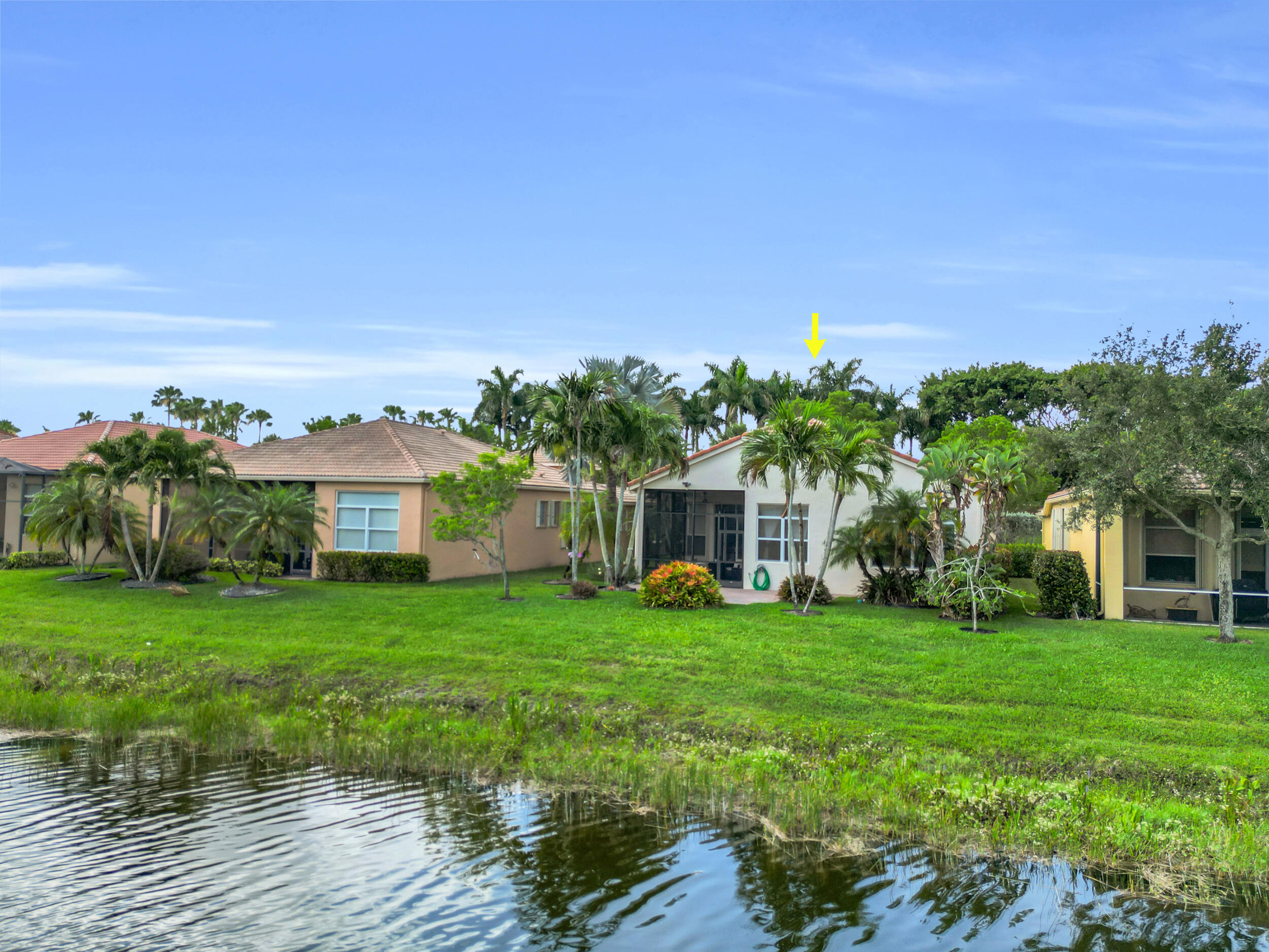 BUENA VIDA - Residential