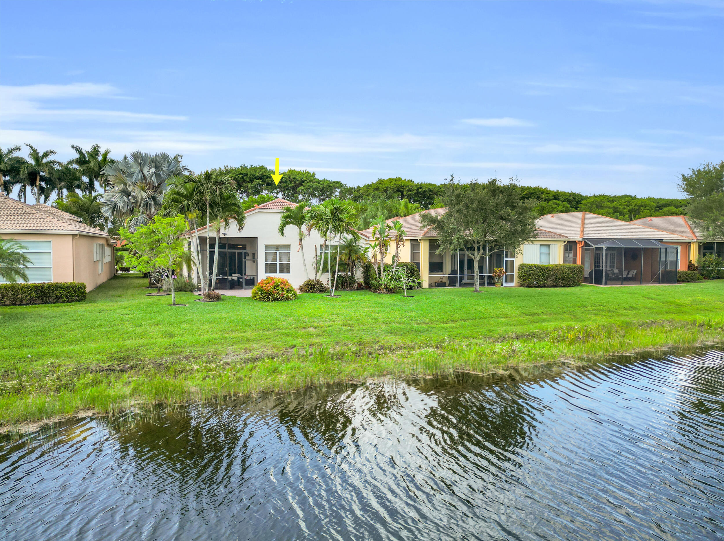 BUENA VIDA - Residential