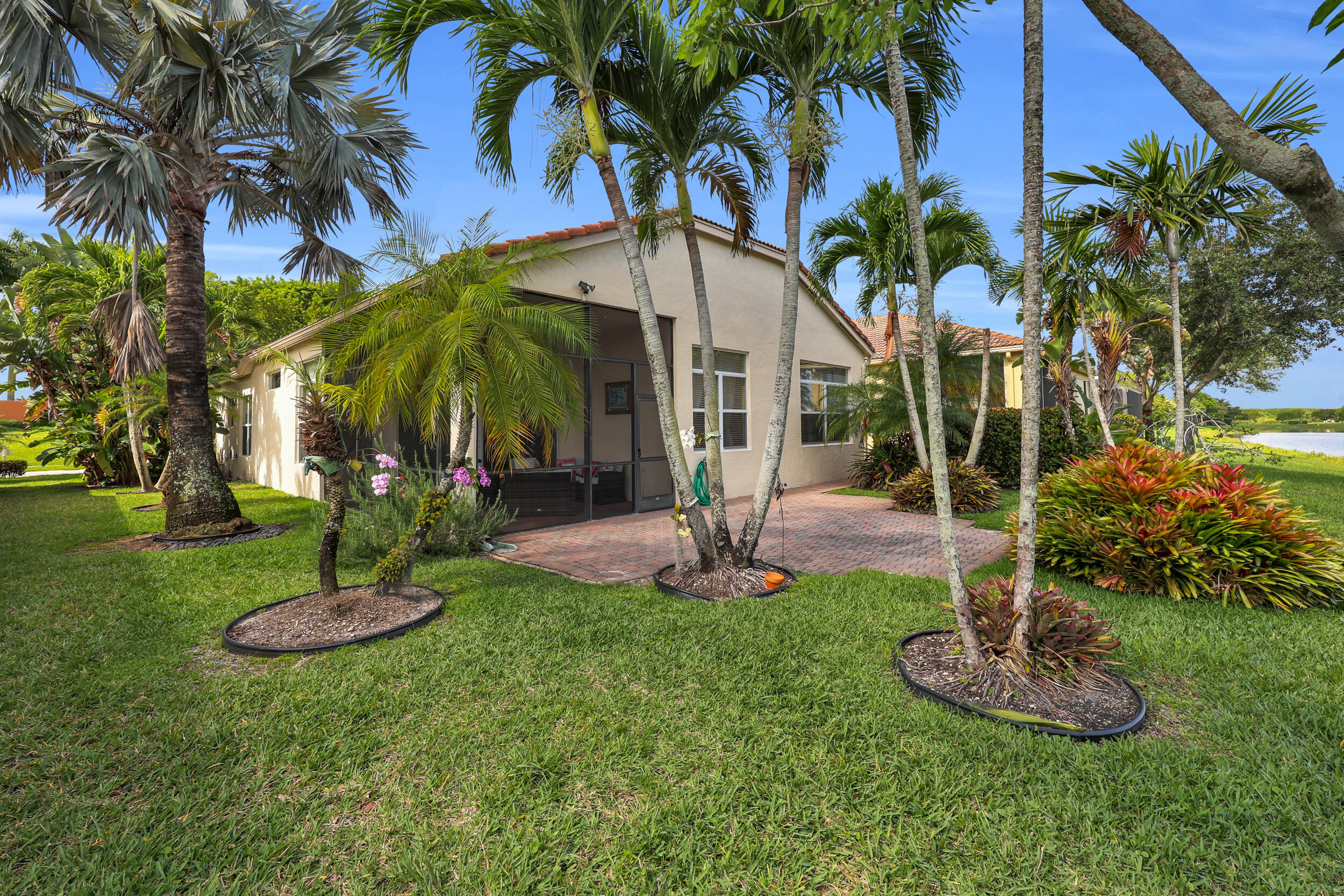 BUENA VIDA - Residential