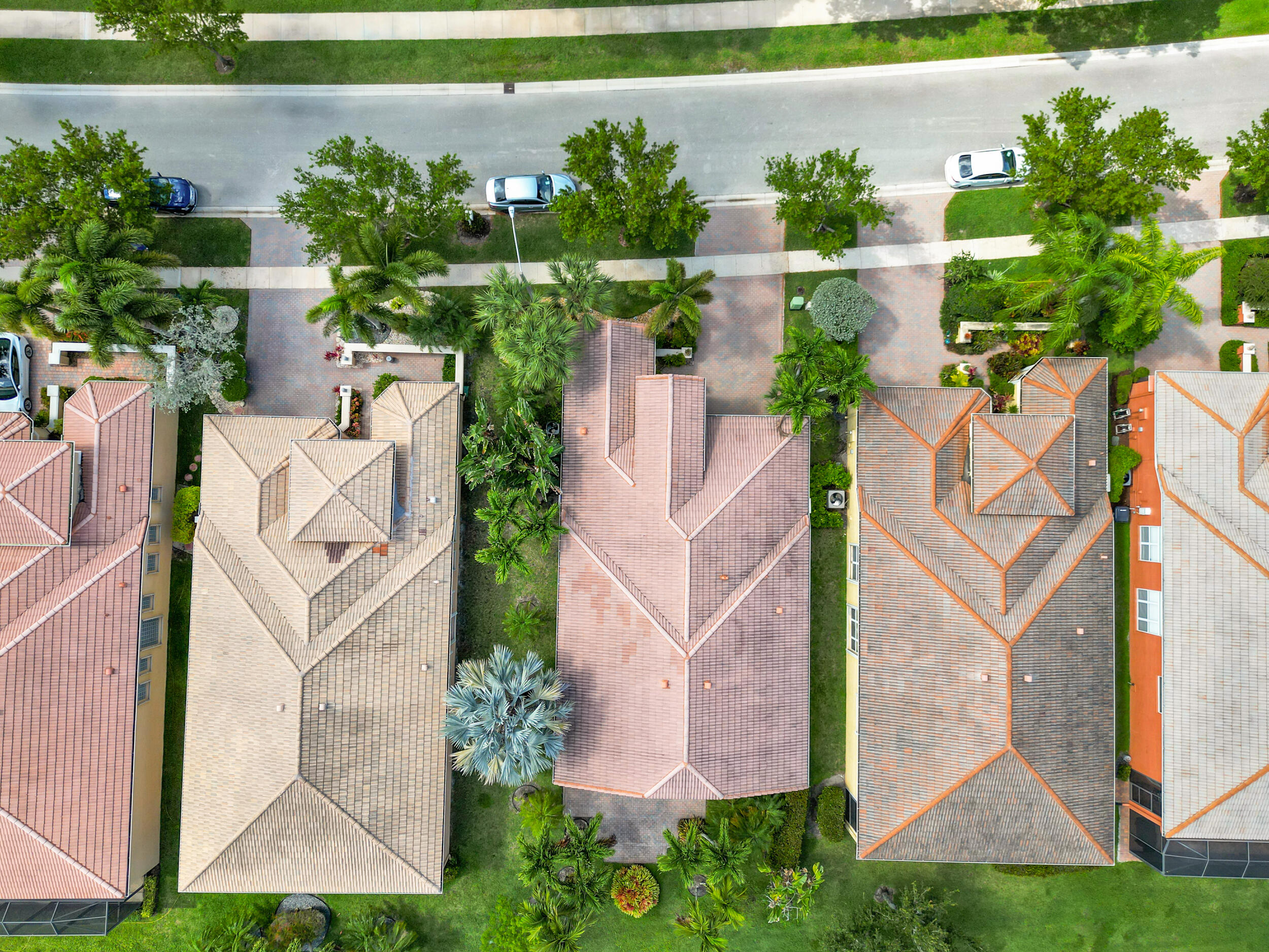 BUENA VIDA - Residential