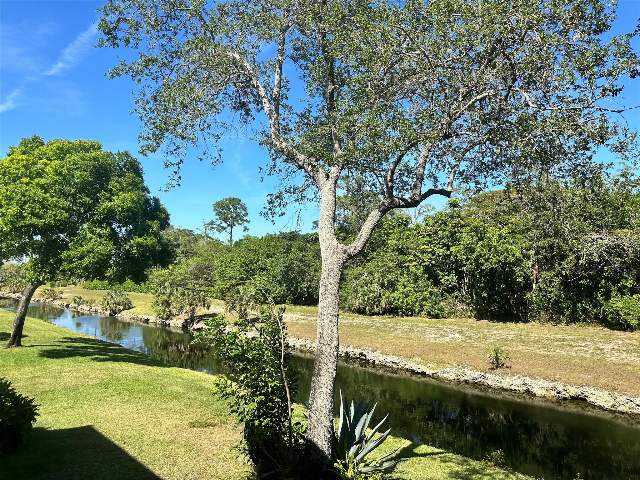 Grand Oasis Condo - Residential Lease