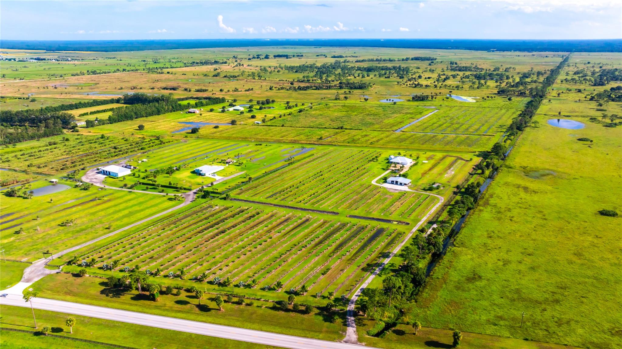 Box Ranch Groves - Residential