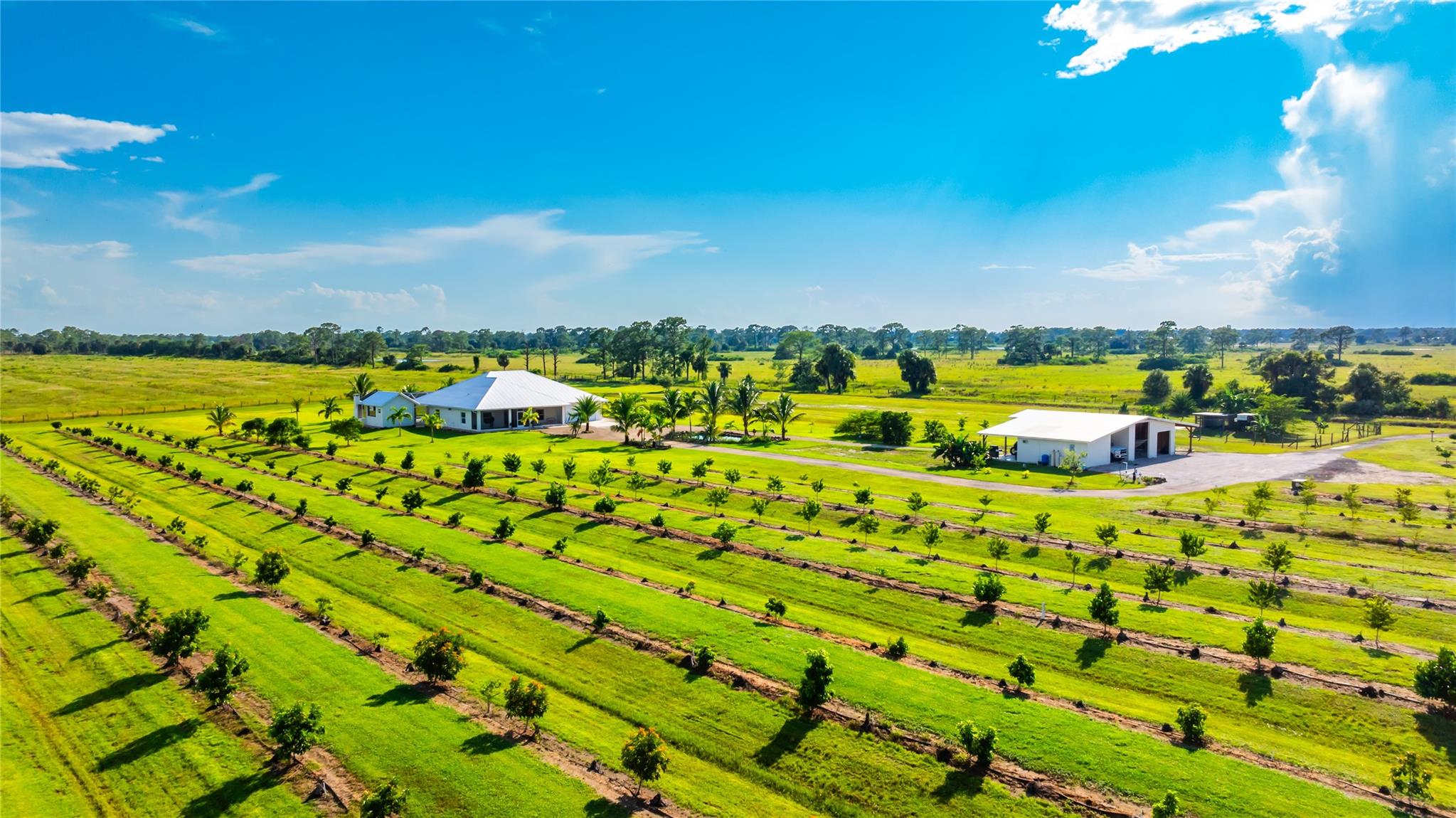 Box Ranch Groves - Residential
