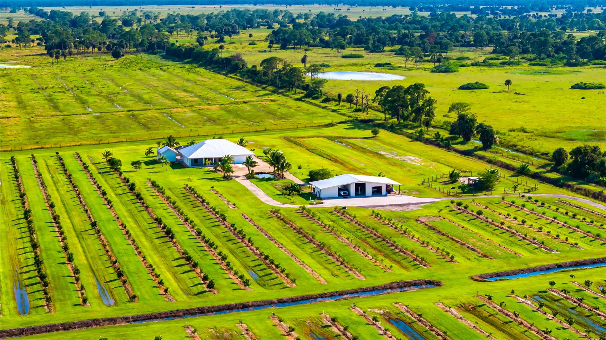 Box Ranch Groves - Residential