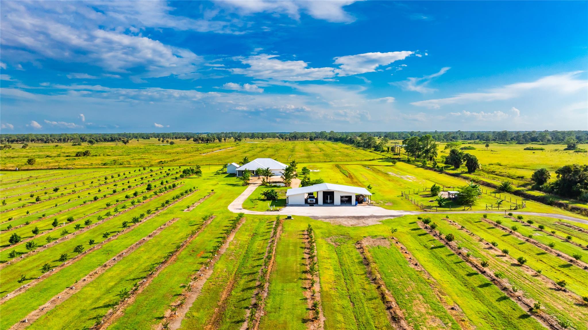 Box Ranch Groves - Residential