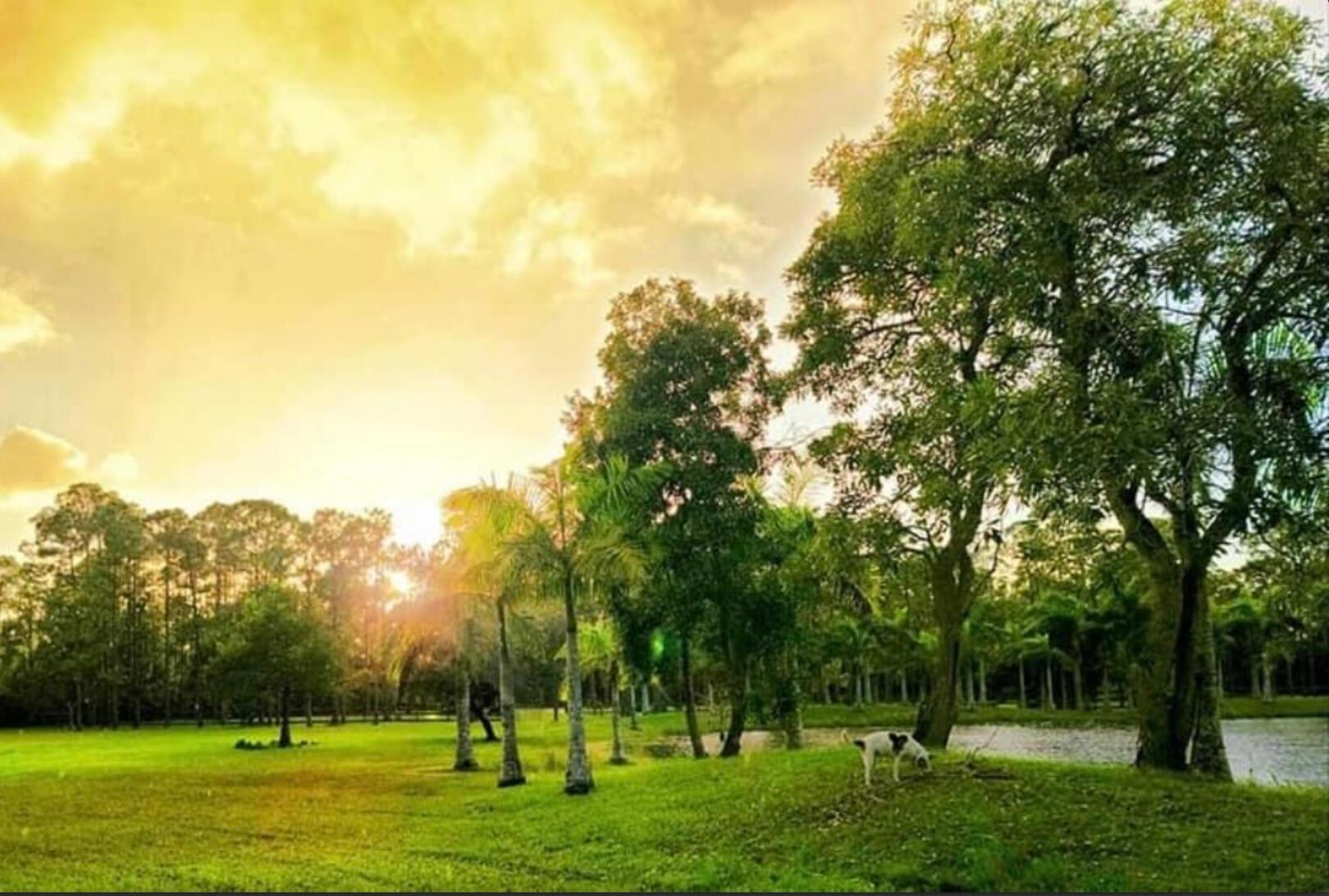 CALOOSA - Residential