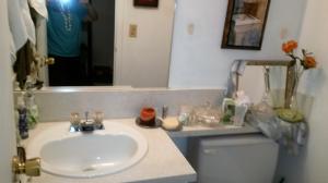 FANSHAW AT CENTURY VILLAGE CONDO - Residential Lease