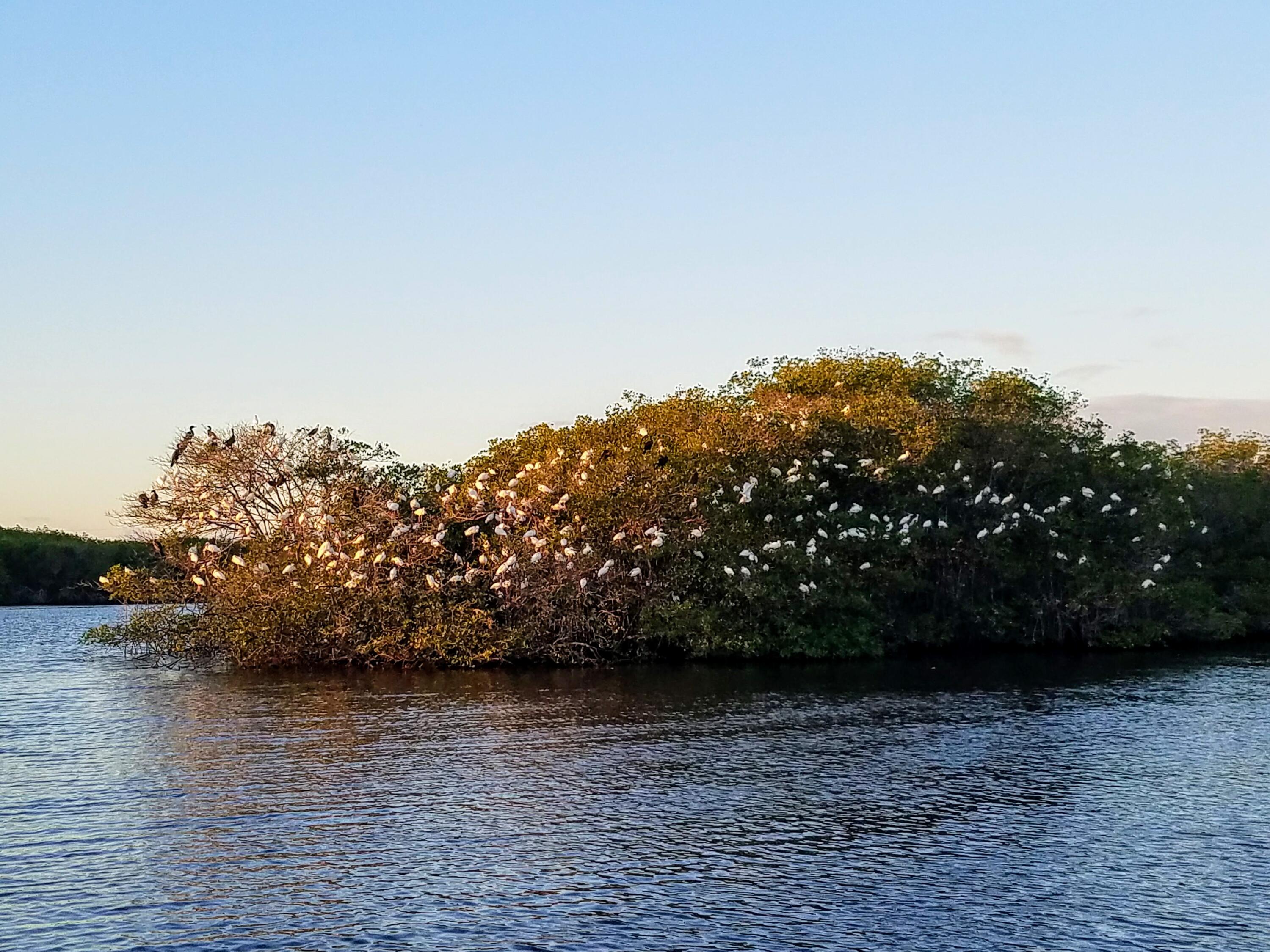 PORT ST LUCIE SECTION 26 - Residential