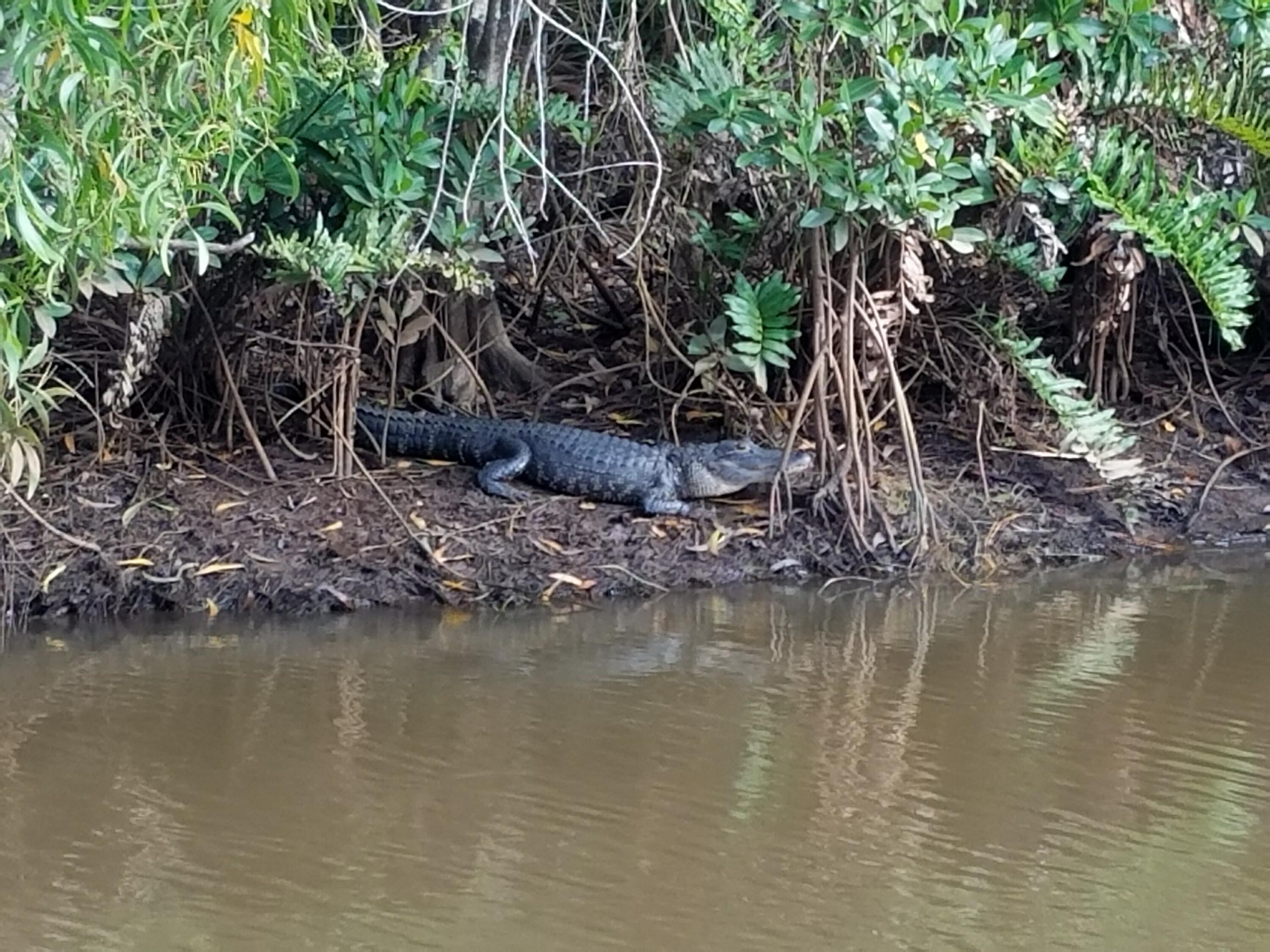 PORT ST LUCIE SECTION 26 - Residential