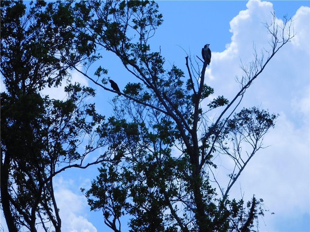 Mainlands of Tamarac Lake - Residential
